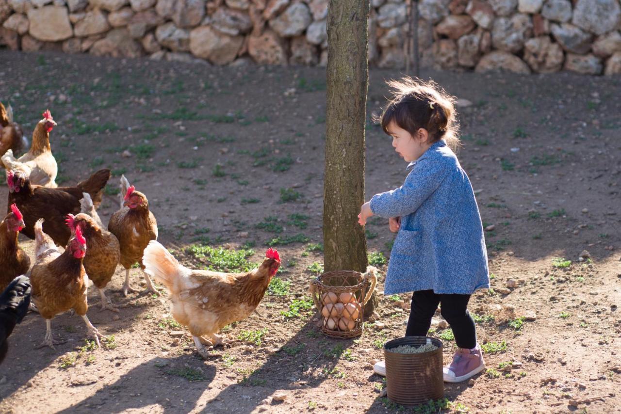 Llucmaçanes Gran Agroturismo Mahón Dış mekan fotoğraf