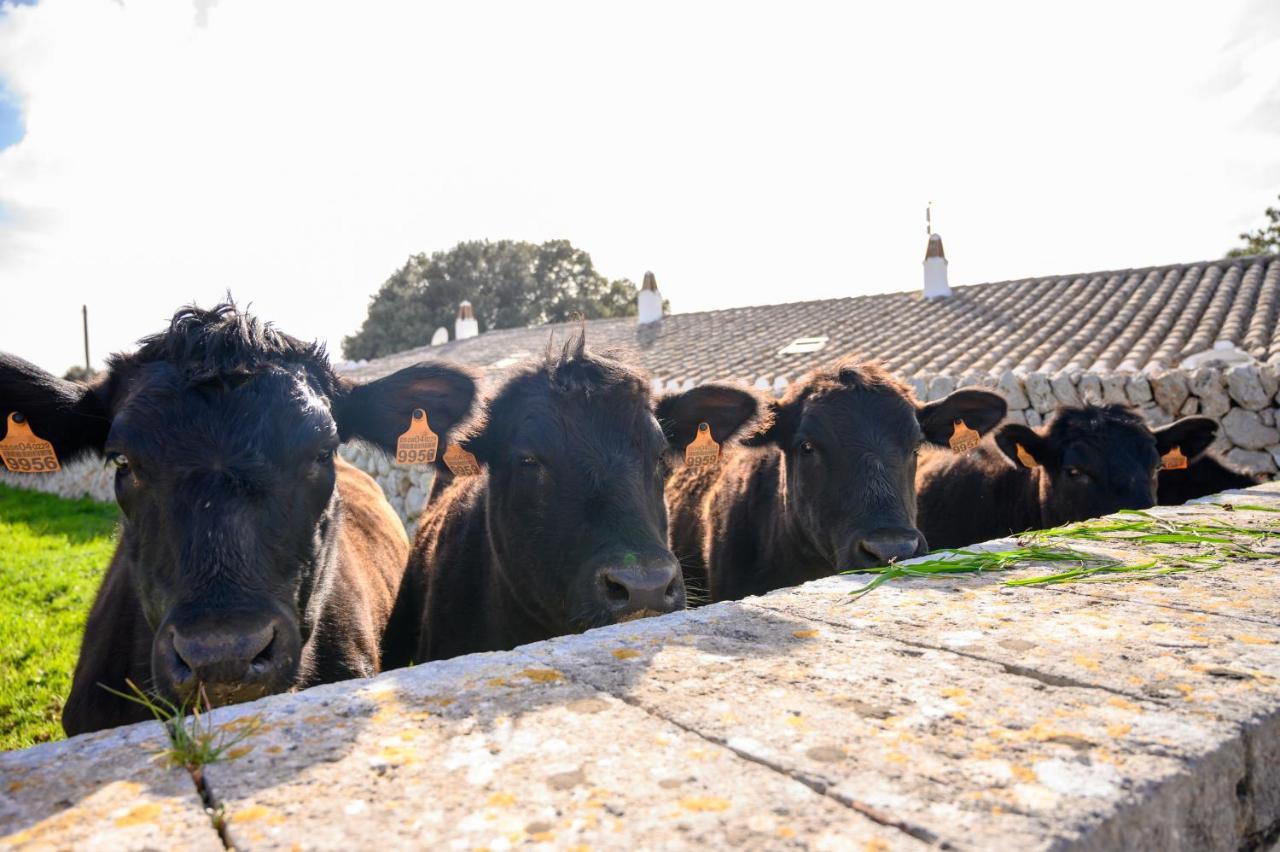 Llucmaçanes Gran Agroturismo Mahón Dış mekan fotoğraf