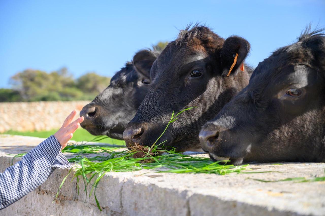 Llucmaçanes Gran Agroturismo Mahón Dış mekan fotoğraf
